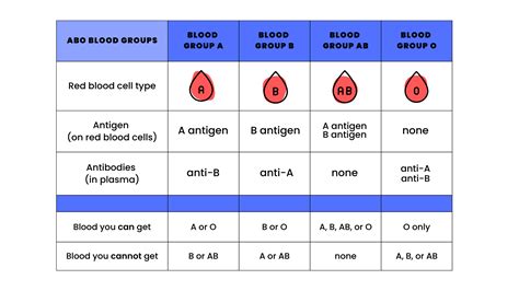 Type O and Rh